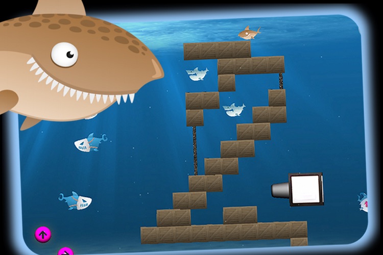 Shark Madness 2