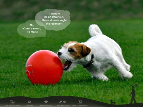 Befriending Dogs - Jack Russell terrier screenshot 2