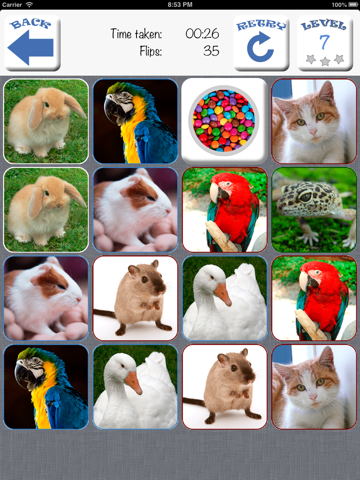 Doodle Pair Animals! Domestic&Pets - Photo Match Up Game Free Version (Picture Match)のおすすめ画像2