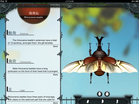 Bug Zoo HD screenshot 3