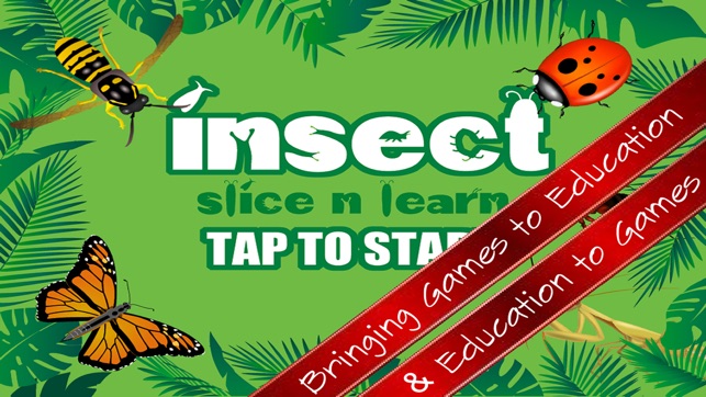 Insects Slice And Learn - Free