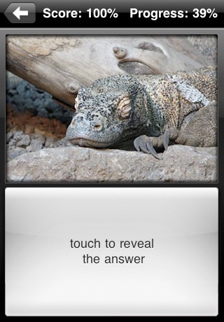 Lizard Flip: Flashcards of Dragons & Lizards screenshot-3