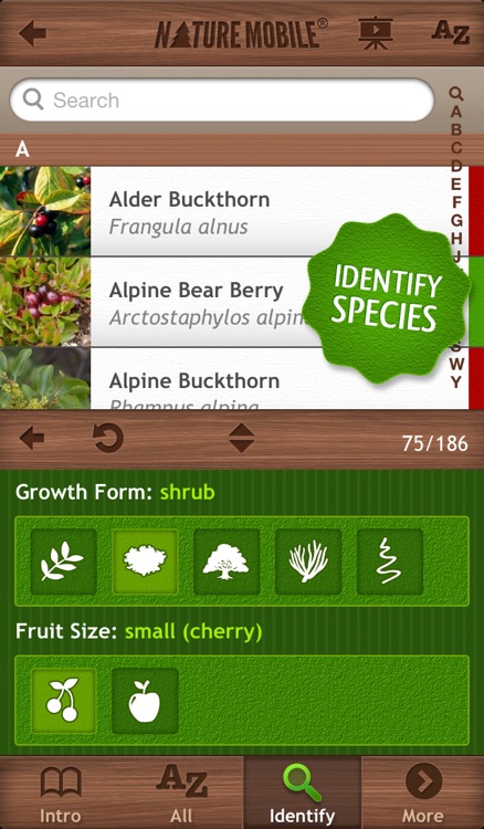 Wild Berries & Herbs - NATURE MOBILE