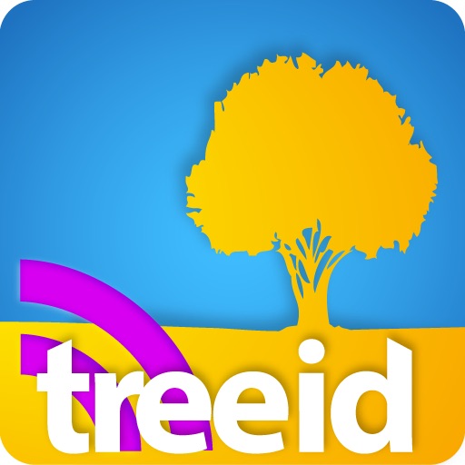 Tree ID - TreeID with Fall Foliage icon