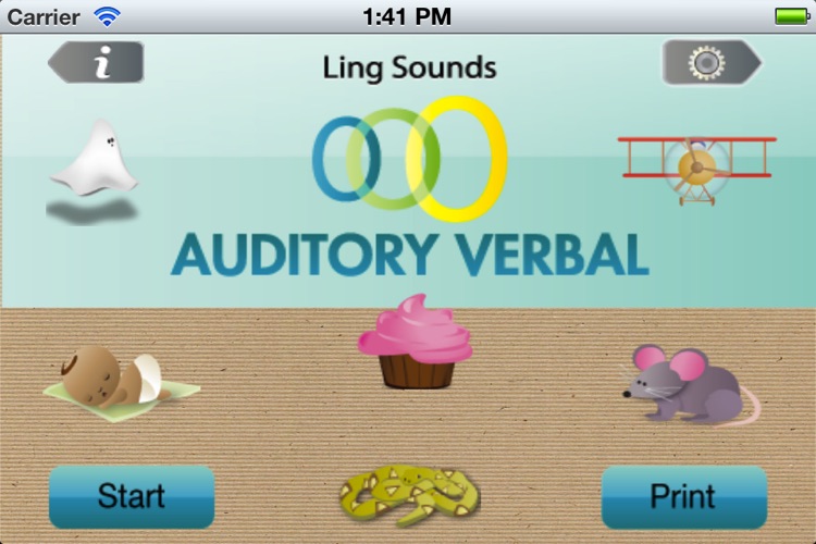 Auditory Verbal