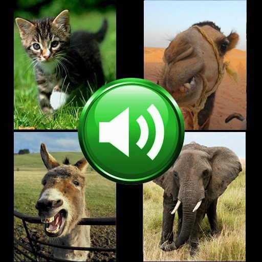Find The Animal iOS App