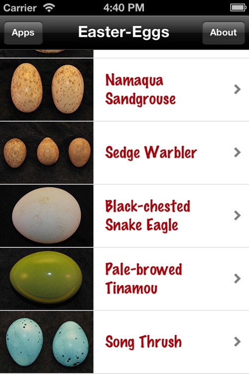 Bird Egg Identification Guide