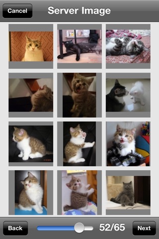 CATS 365 screenshot 4