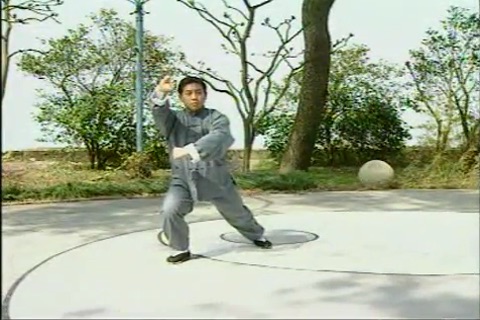 Taijiquan screenshot 2