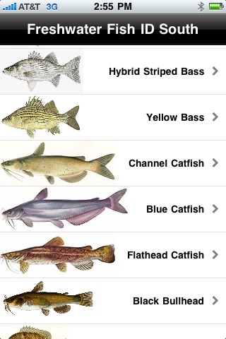 Freshwater Fish ID South screenshot-3
