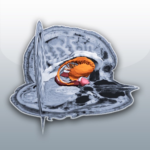 Brain S3D HD icon