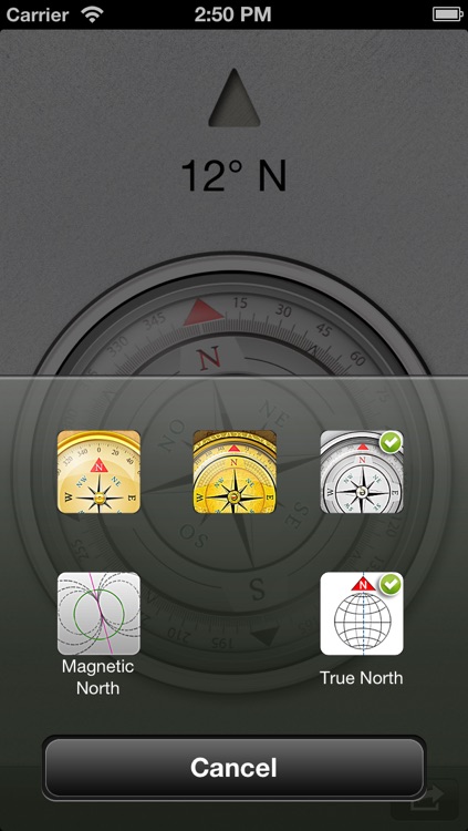 Compass™ screenshot-3