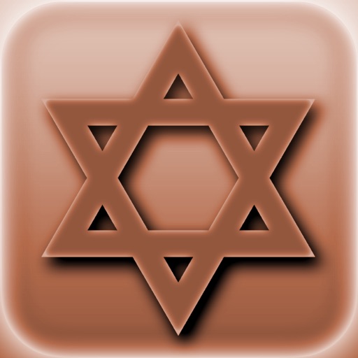 Yiddish Slang Terms icon