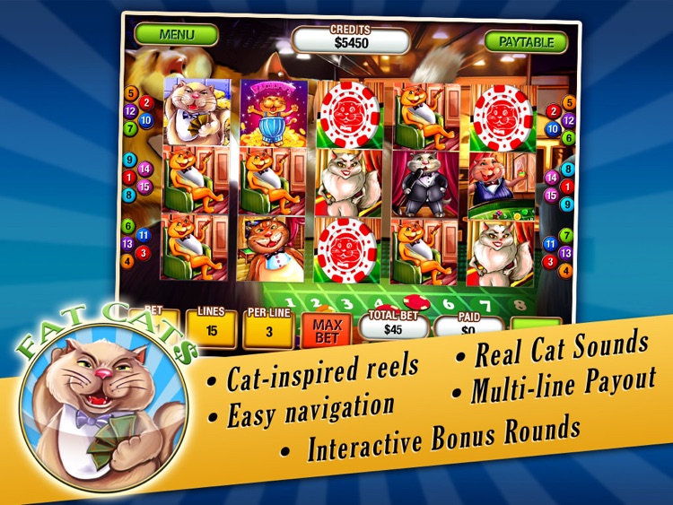 Crazy Cat Slots HD Lite