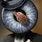 If it's been a while since you've had a really fun poke, Sir Real Eye is the app for the job