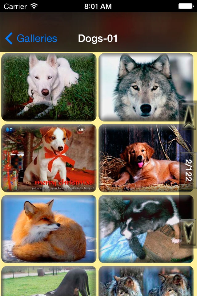 Animals Backgrounds and Wallpapers screenshot 4