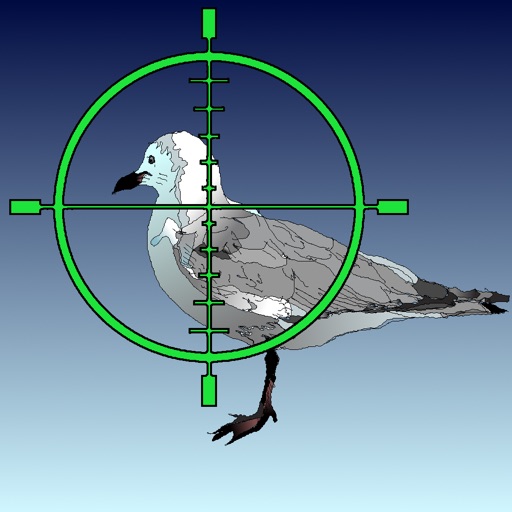 Shoot Those Gulls! iOS App