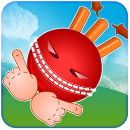 Crazy Cricket HD