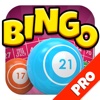 A Bingo Party Game: Big Bash Edition - Pro