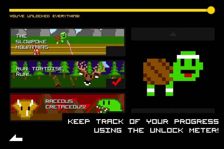 Hurdle Turtle screenshot-3