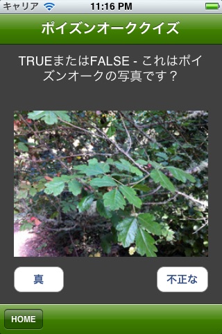 Poison Oak Quiz screenshot 4