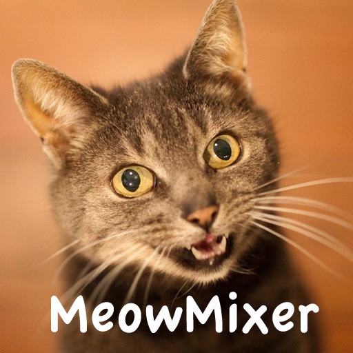 MeowMixer - Repeat the Meow Sound Game icon