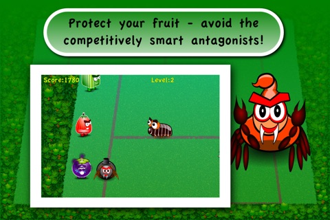 The BLITZ of the FRUITS Lite screenshot 4