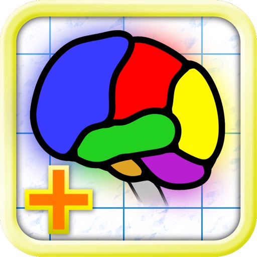 Brain App XL iOS App