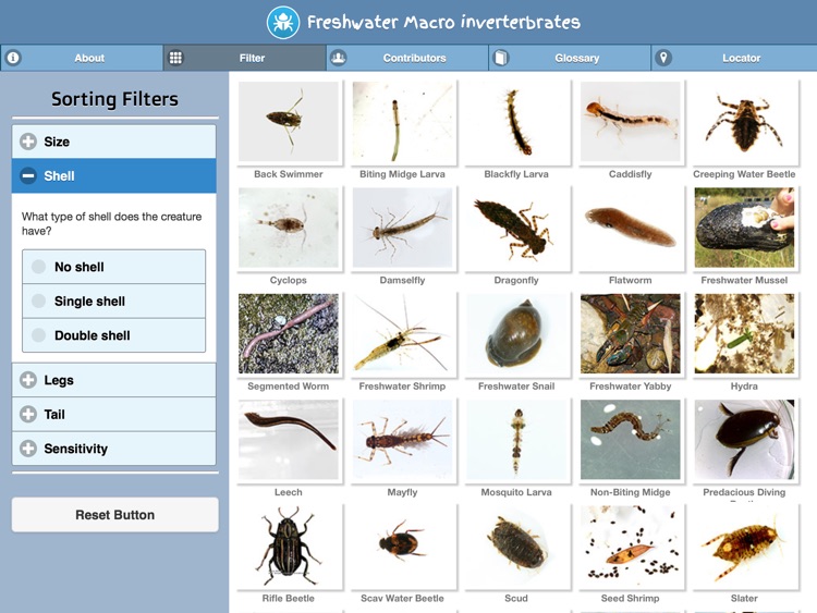 Freshwater Macro Invertebrates