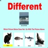 What Is Different