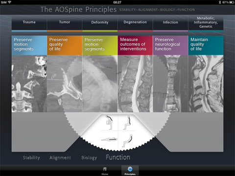 The AOSpine Principles screenshot 2