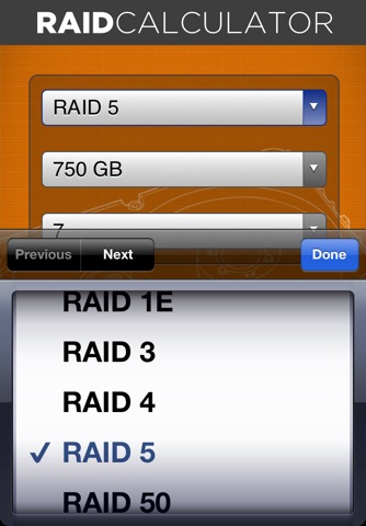 RAID calculator screenshot 2