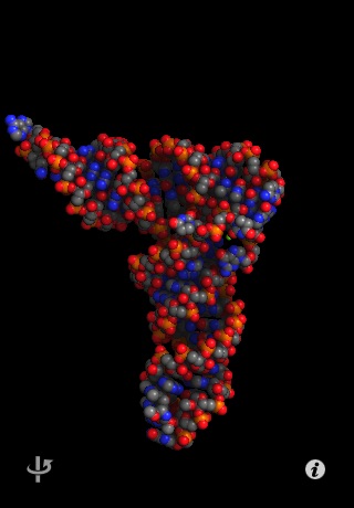 Molecules