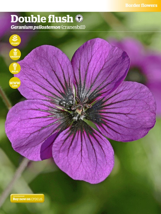 Gardeners’ World Magazine - 100 Best Plants