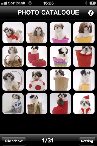 Look!Shihtzu screenshot 2