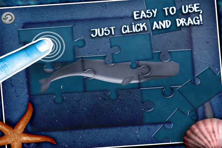 Jigsaw Puzzle with Whales and Sharks