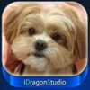 Cool Dog Wallpapers HD Lite - iPadアプリ