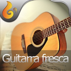 Activities of Guitarra fresca