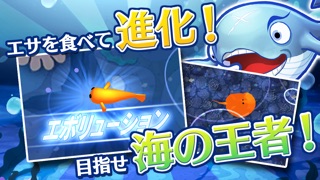 おさかなエボリューション!のスクリーンショット2 おさかなエボリューション!のスクリーンショット2