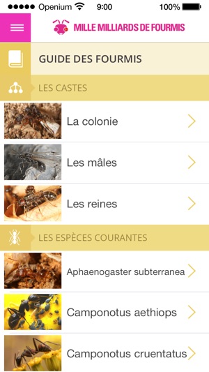 Mille milliards de fourmis(圖5)-速報App