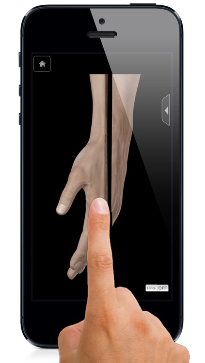 Hand & Wrist Pro III with Animations - iPhone Edition