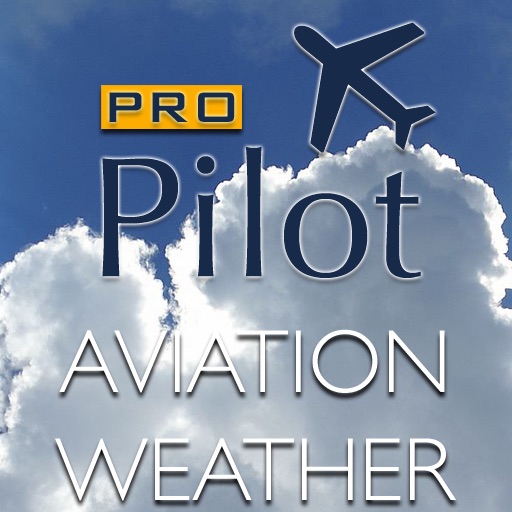 PRO Pilot Basic Weather