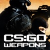 Weapons Guide and Quiz for Counter Strike:Global Offensive