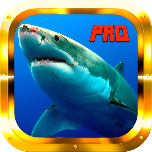 Shark Tank Adventure 2 GOLD icon