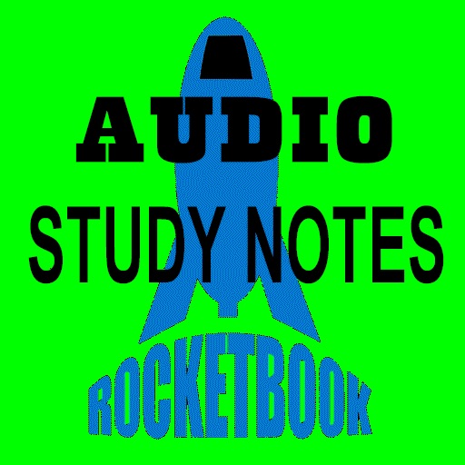 Audio Catch-22 Study Guide
