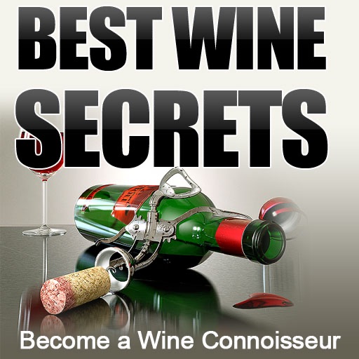 Wine Secrets icon