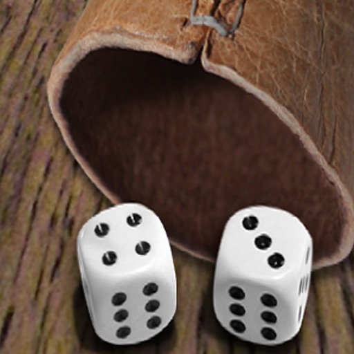 Party Game No. 1 - The Dice Is NIce iOS App