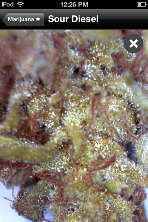 Marijuana HD™