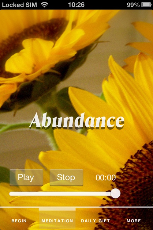 Creating Abundance in 21 days