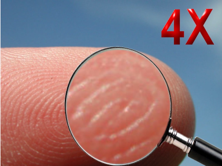 32X Flash Magnifyer HD